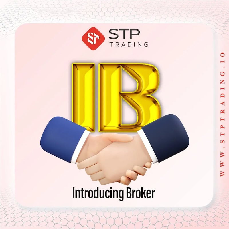 Earn High Commissions with STP Trading's IB Plan: Start Your Own Business Without Investment
