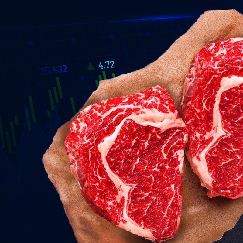 M4Markets Launches Exciting Autumn Lucky Draw Campaign for South Korean Traders – Win Premium Beef Sets and $1000 Trading Bonus